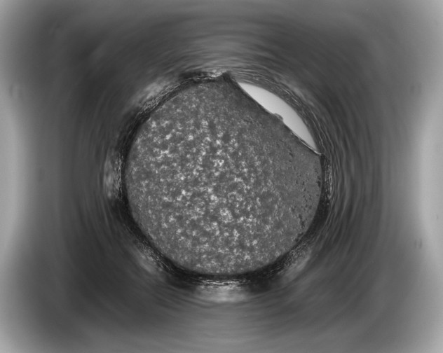 X0000085070554200703191304