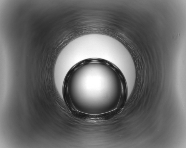 X0000085070556200703191304