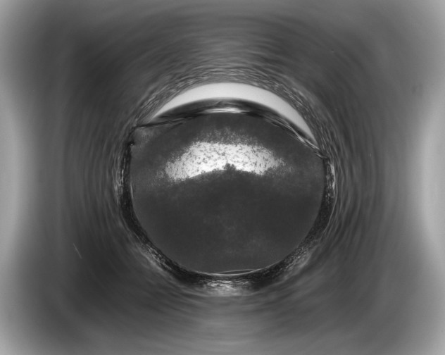 X0000085070558200703191304