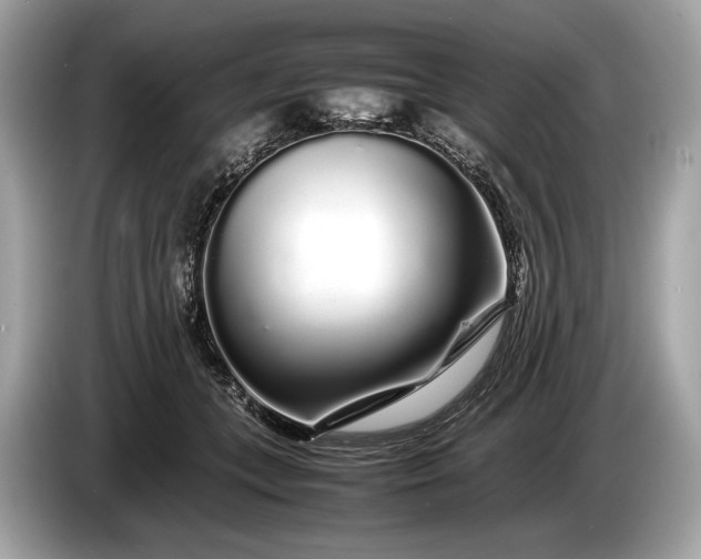 X0000085070559200703191304