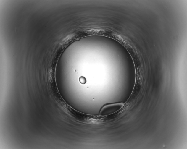 X0000085070563200703191304