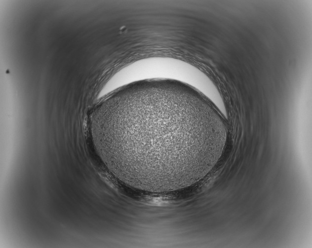 X0000085070564200703191304