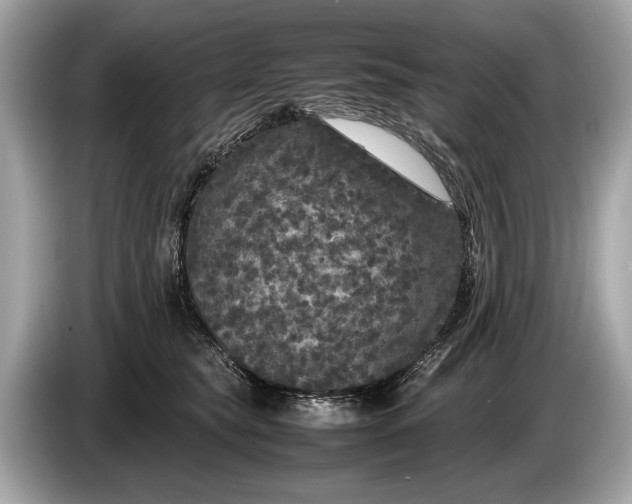 X0000085070565200703191304