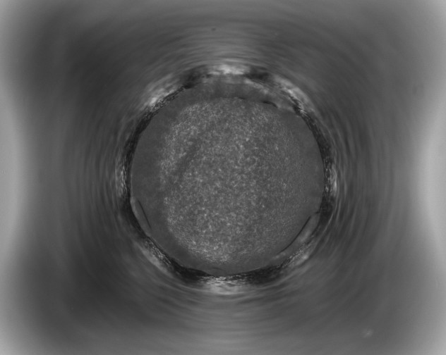 X0000085070568200703191304