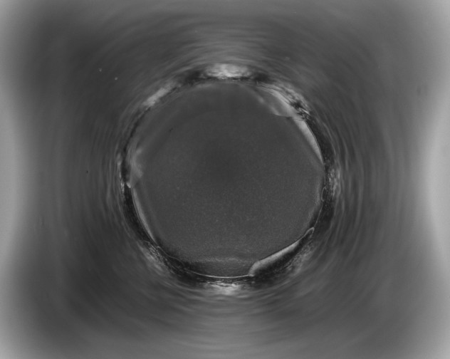 X0000085070570200703191304