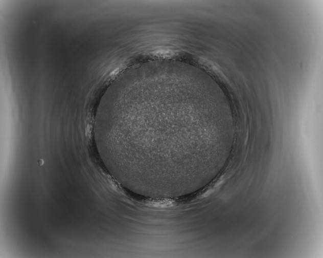 X0000085070576200703191304