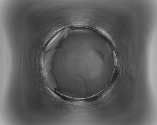 X0000085070577200703191303