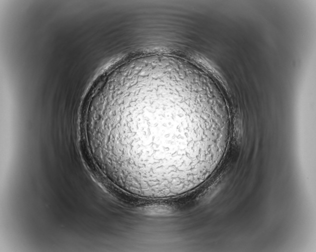 X0000085070578200703191303