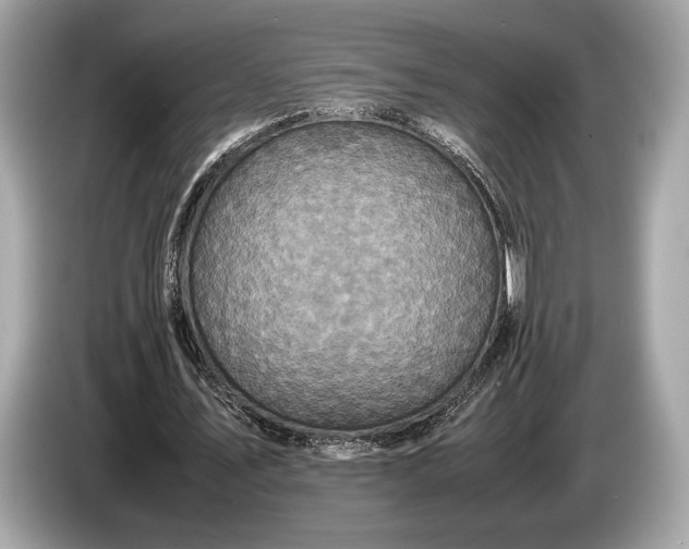 X0000085070579200703191303