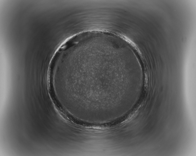 X0000085070580200703191303