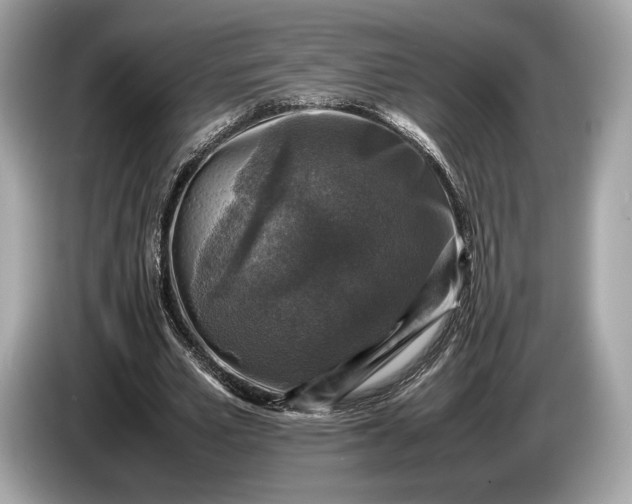 X0000085070581200703191303