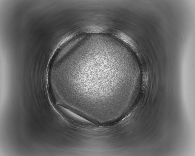 X0000085070582200703191303