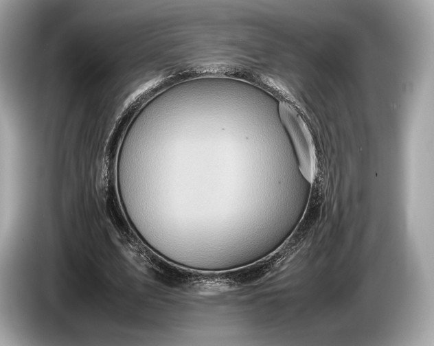 X0000085070583200703191303