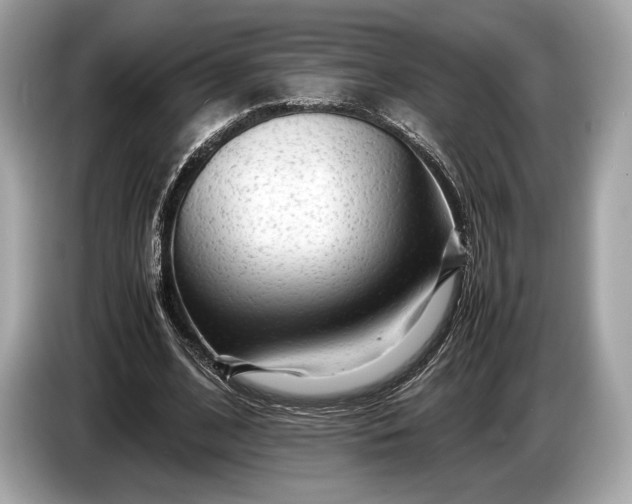 X0000085070584200703191303