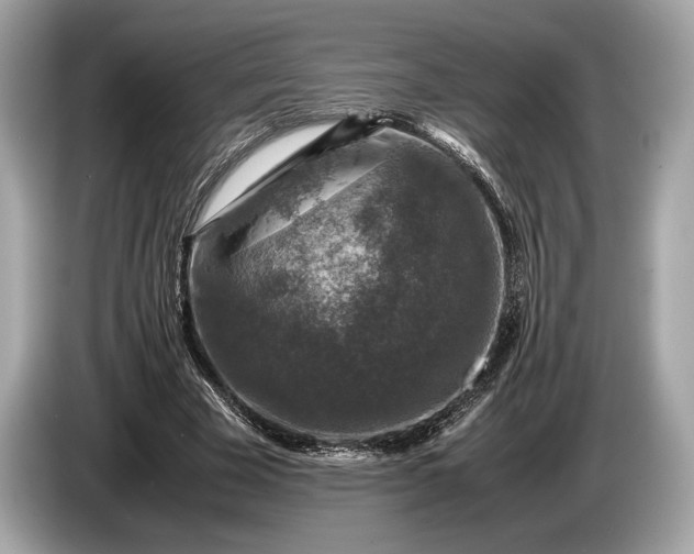 X0000085070585200703191303