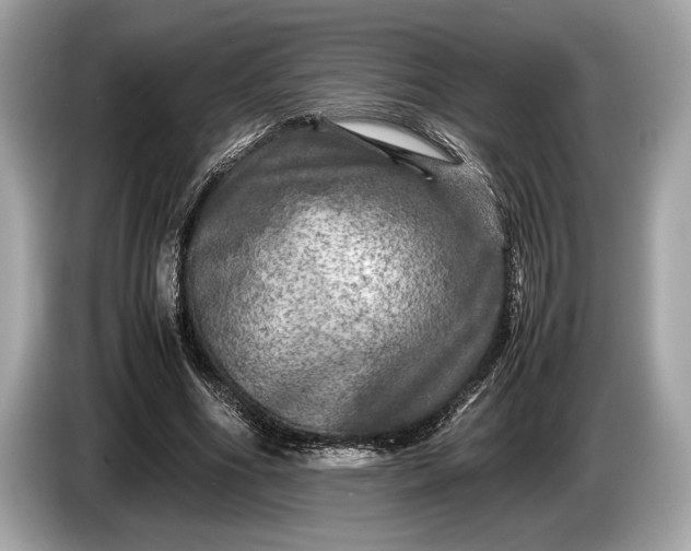 X0000085070586200703191303