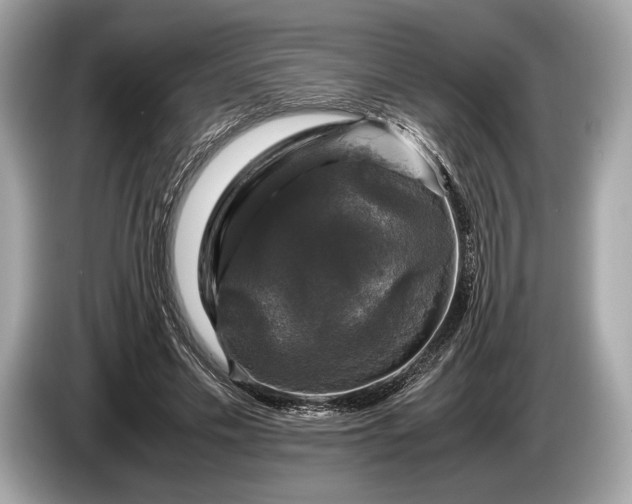 X0000085070589200703191303