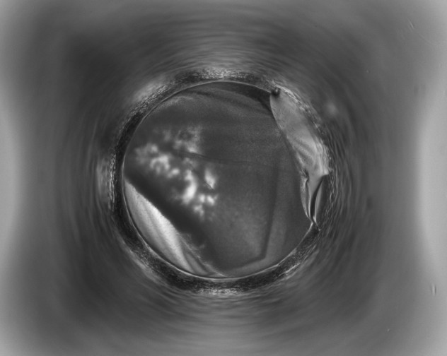 X0000085070590200703191303