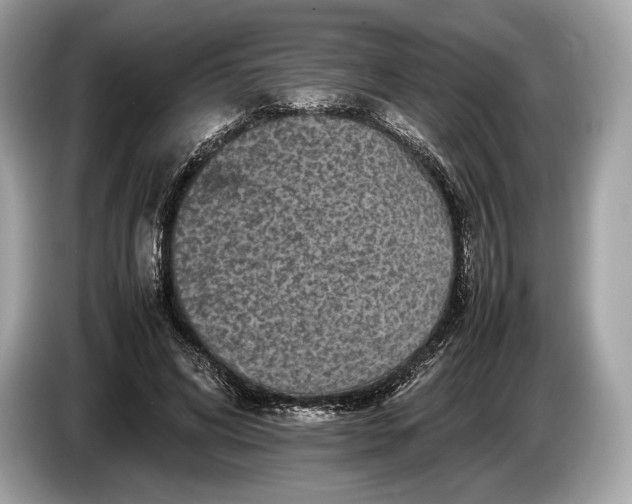 X0000085070592200703191303