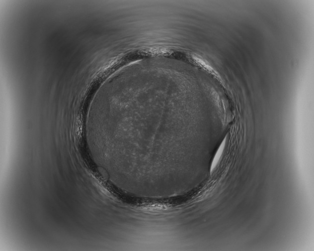 X0000085070593200703191303