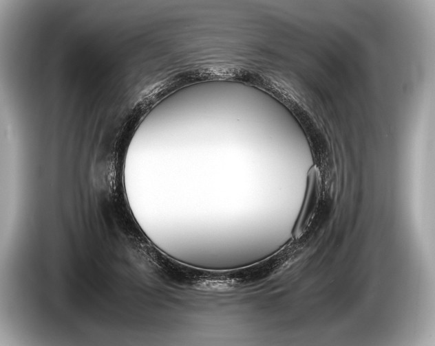 X0000085070595200703191303