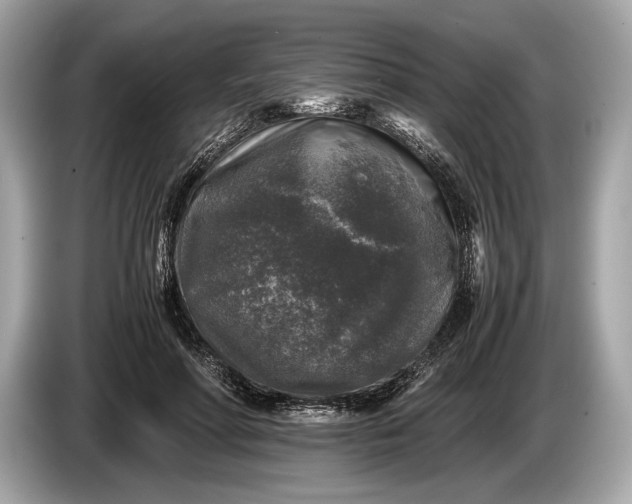 X0000085070598200703191303