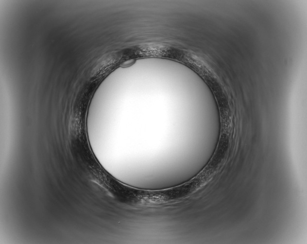 X0000085070599200703191303