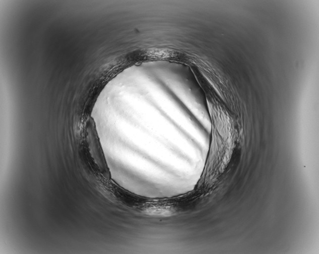 X0000085070601200703191303