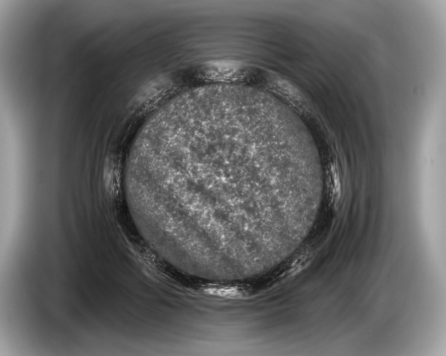 X0000085070602200703191303