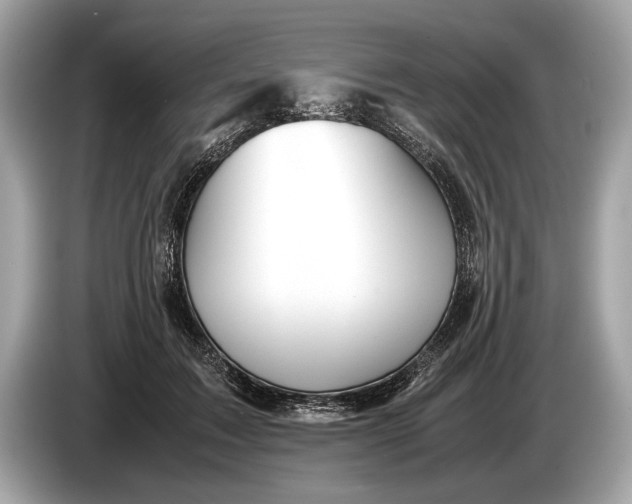 X0000085070603200703191303