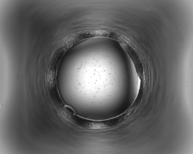 X0000085070605200703191303