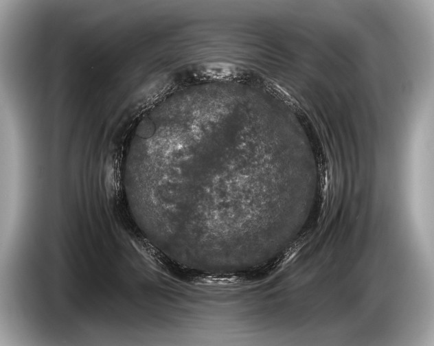 X0000085070606200703191303