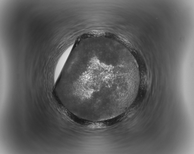 X0000085070609200703191303