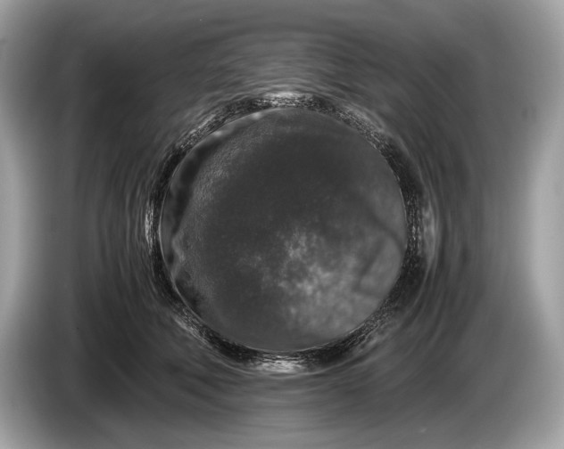 X0000085070610200703191303