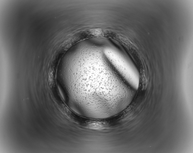 X0000085070611200703191303