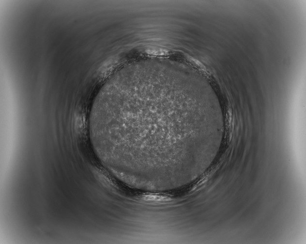 X0000085070614200703191303