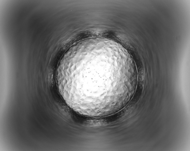 X0000085070615200703191303