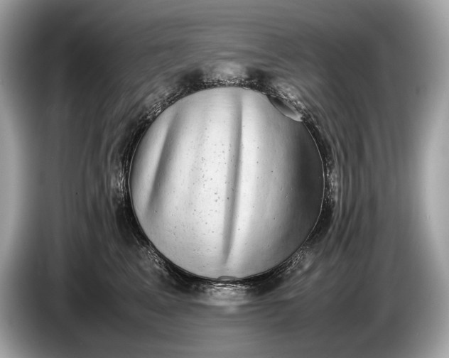 X0000085070617200703191303