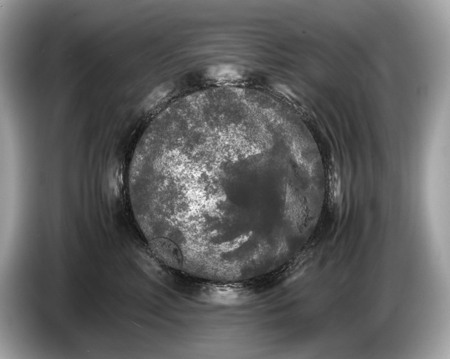 X0000085070618200703191303