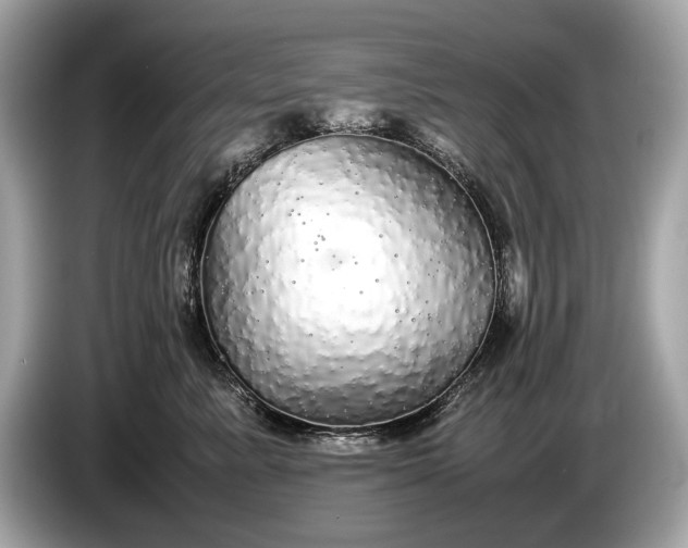 X0000085070619200703191303