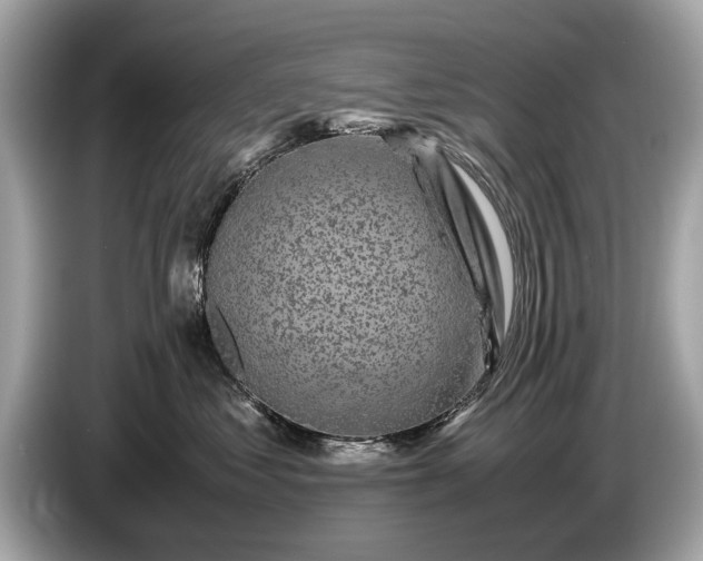 X0000085070621200703191303