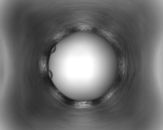 X0000085070622200703191303