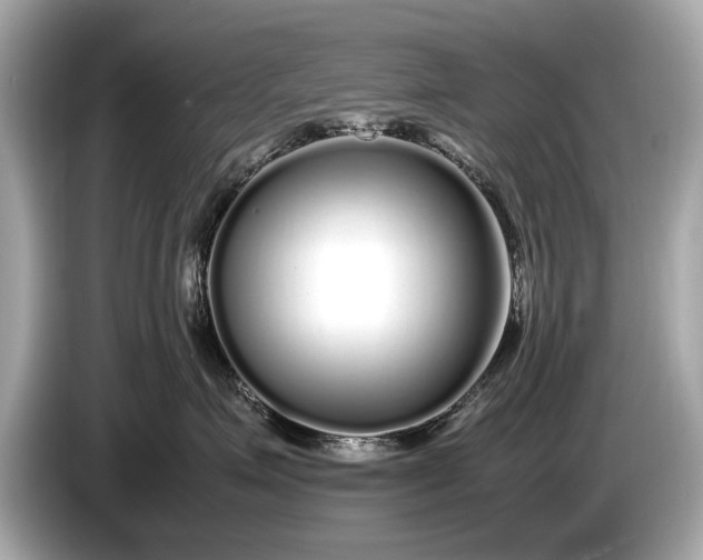 X0000085070623200703191303