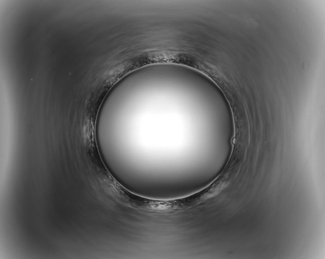 X0000085070624200703191303