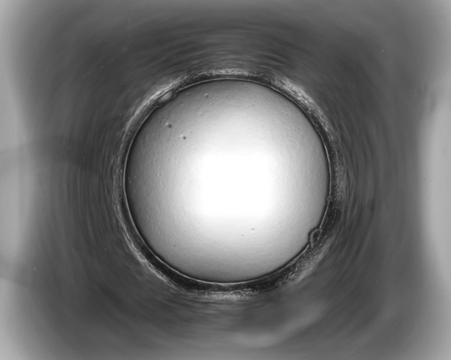 X0000085070625200703191302