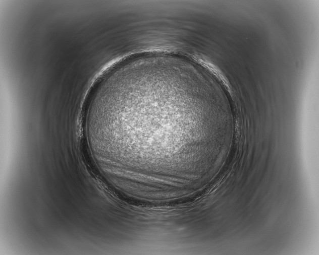 X0000085070628200703191302