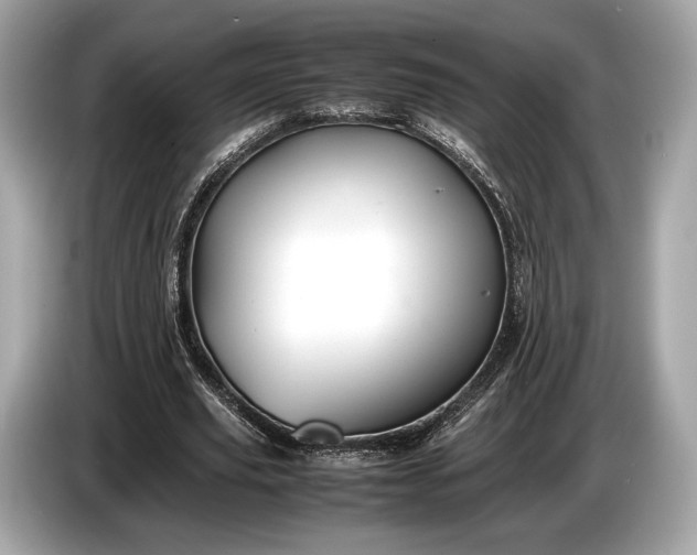 X0000085070629200703191302