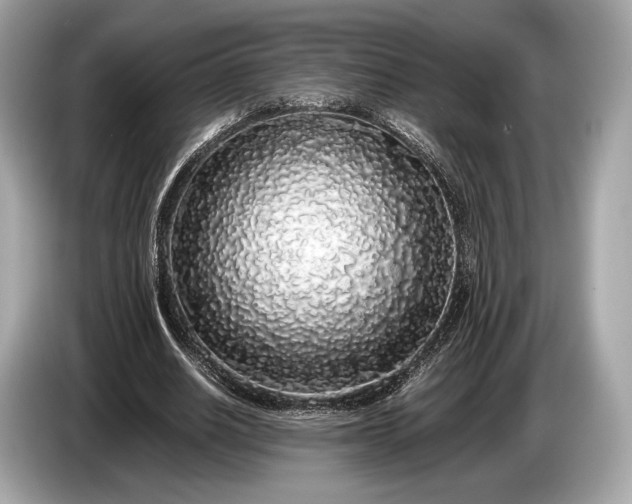 X0000085070630200703191302