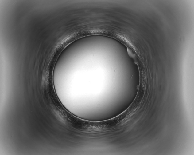 X0000085070631200703191302