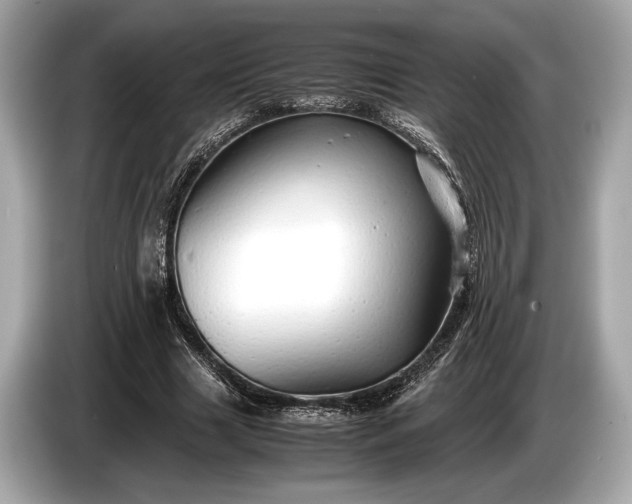 X0000085070633200703191302